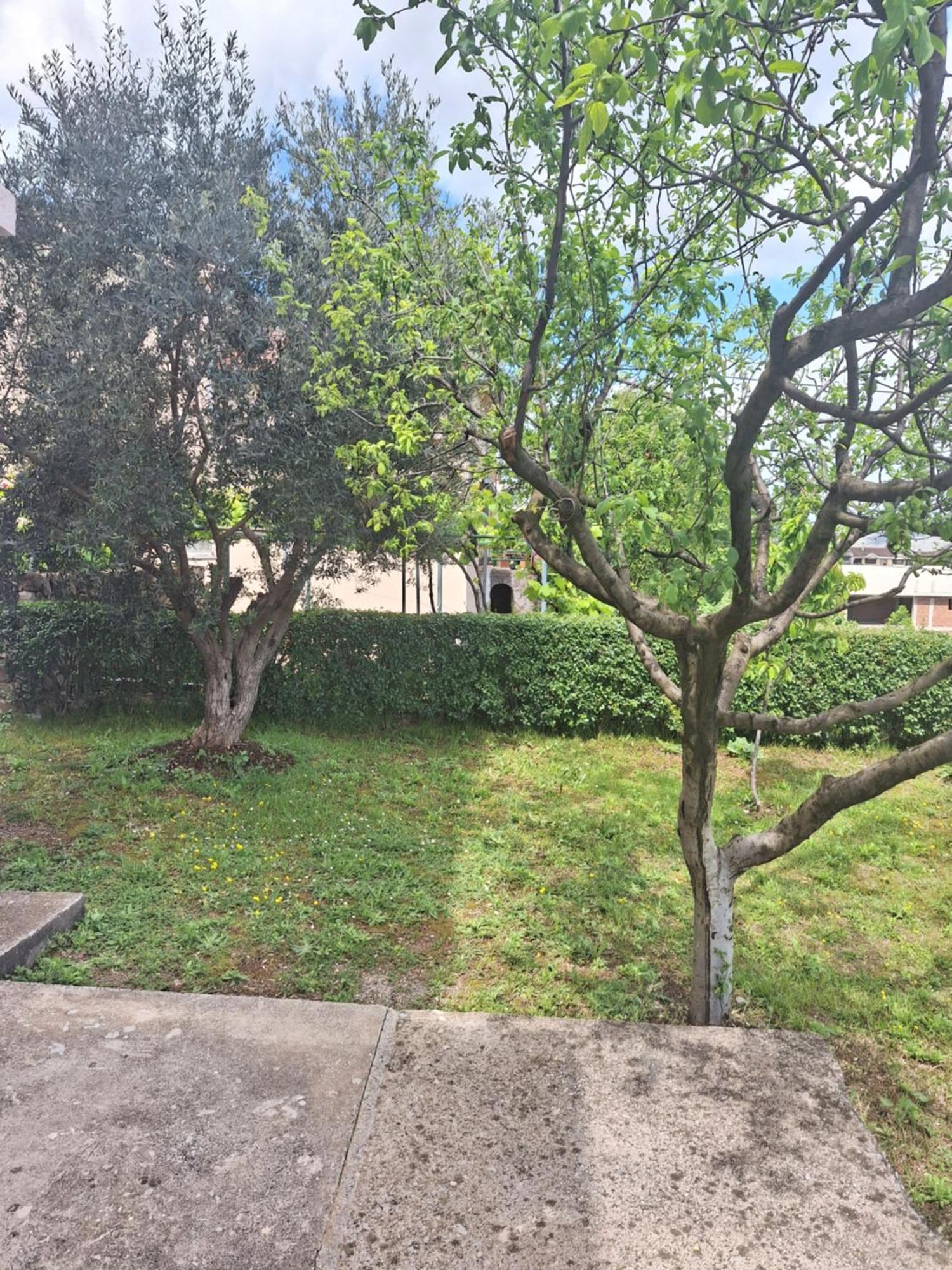 Apartmani Ruza بودغوريتْسا المظهر الخارجي الصورة